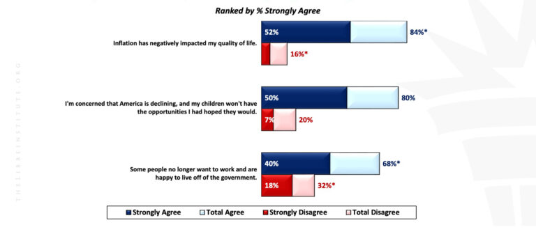 LibreSurveyResults